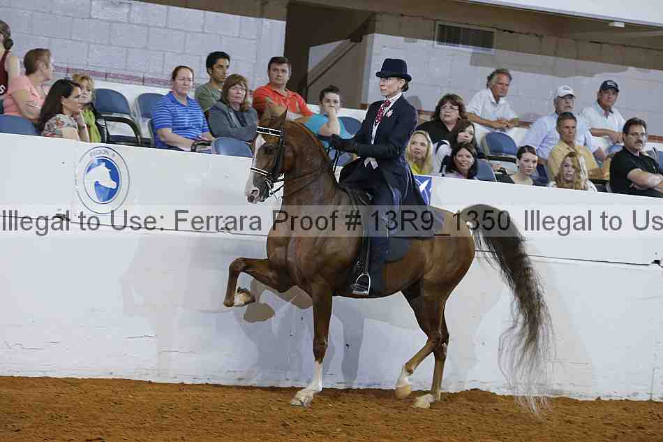 Proof 13r9_1350
