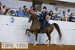 13r9_1350 proof