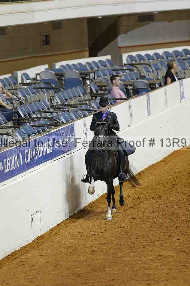 Proof 13r9_1351