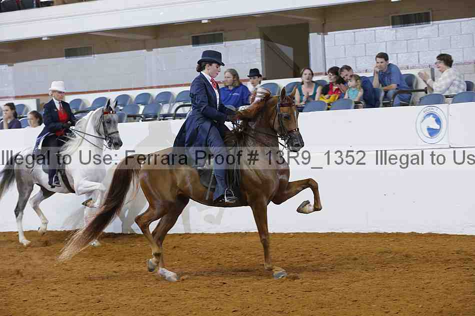 Proof 13r9_1352