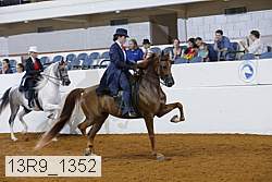 13r9_1352 proof
