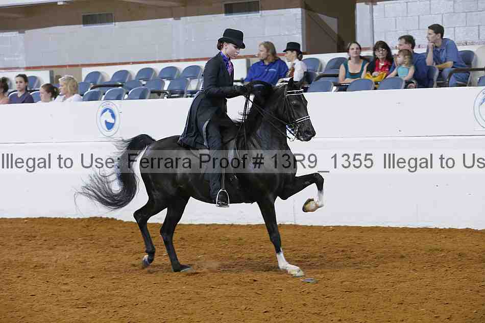 Proof 13r9_1355