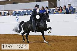 13r9_1355 proof