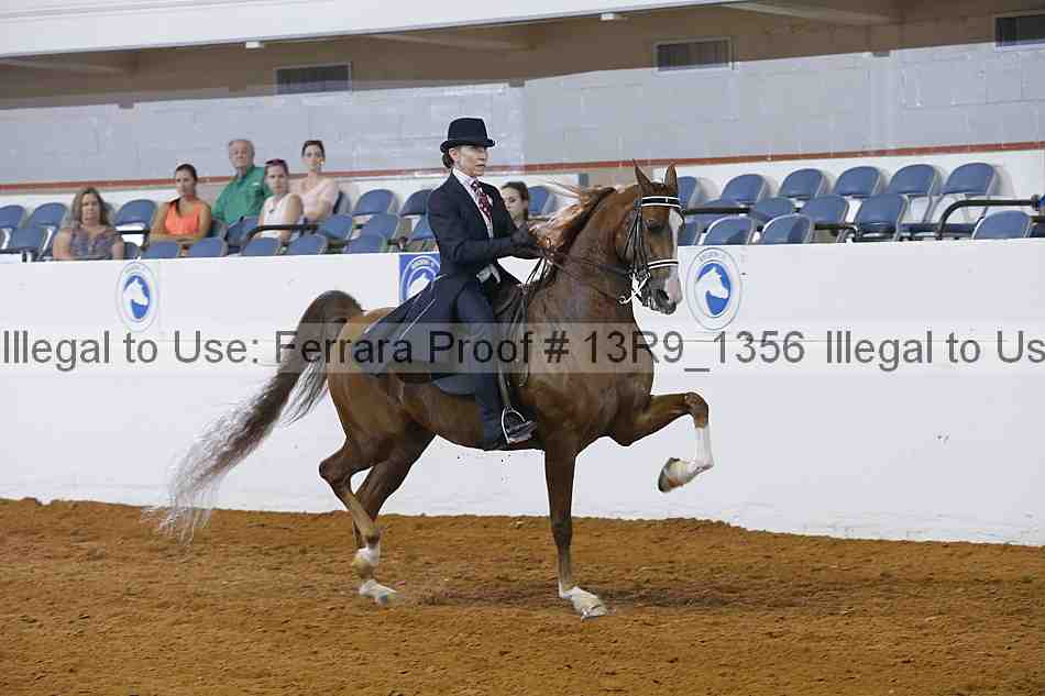 Proof 13r9_1356