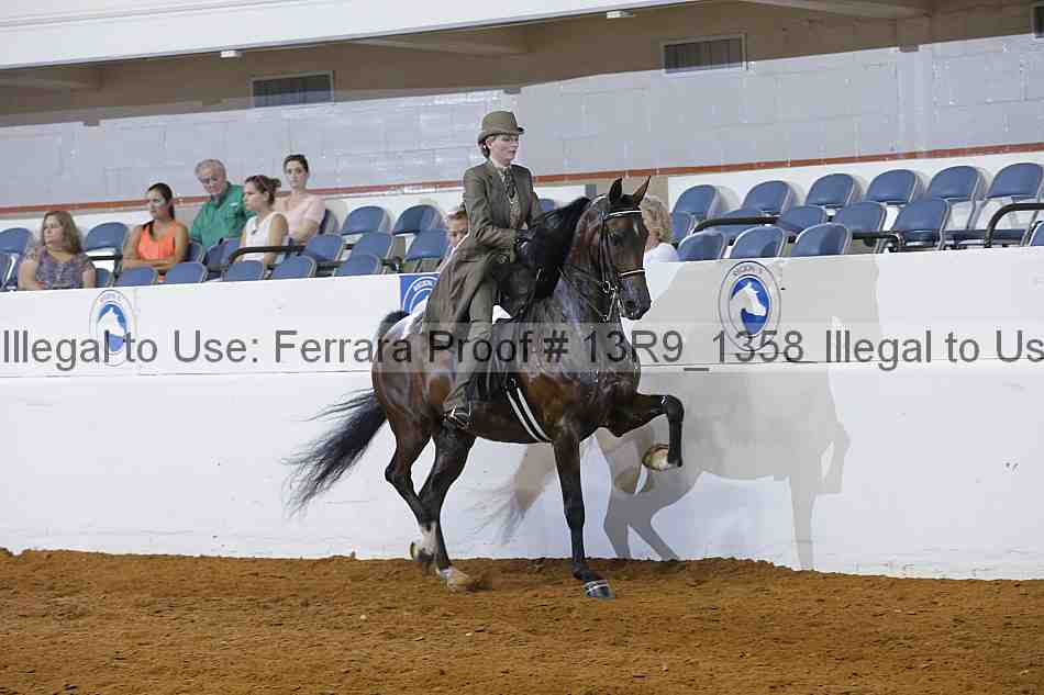 Proof 13r9_1358