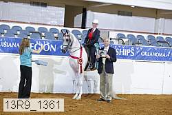 13r9_1361 proof