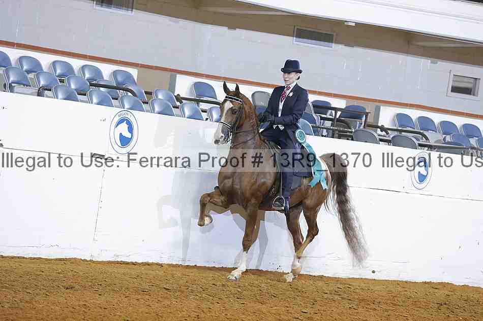 Proof 13r9_1370