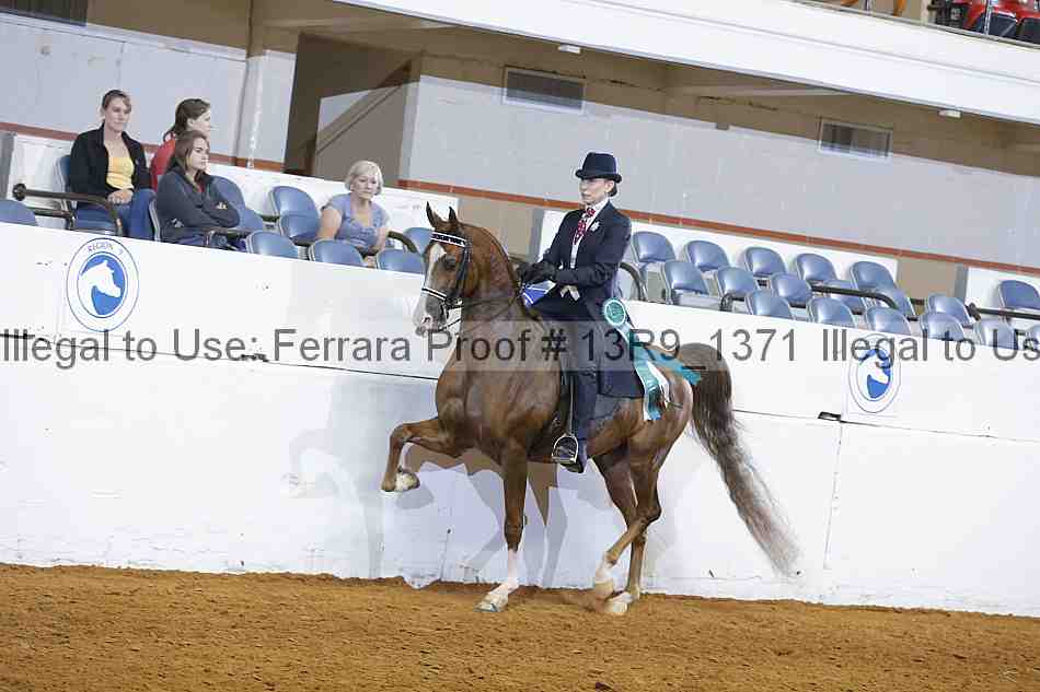 Proof 13r9_1371