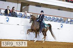 13r9_1371 proof