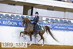 13r9_1372 proof