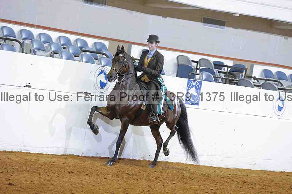Proof 13r9_1375
