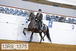 13r9_1375 proof