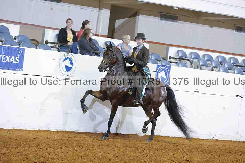 Proof 13r9_1376