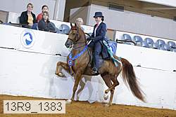 13r9_1383 proof