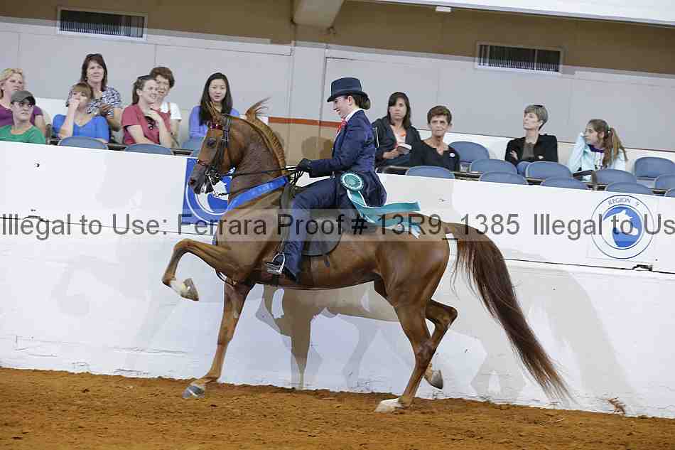 Proof 13r9_1385
