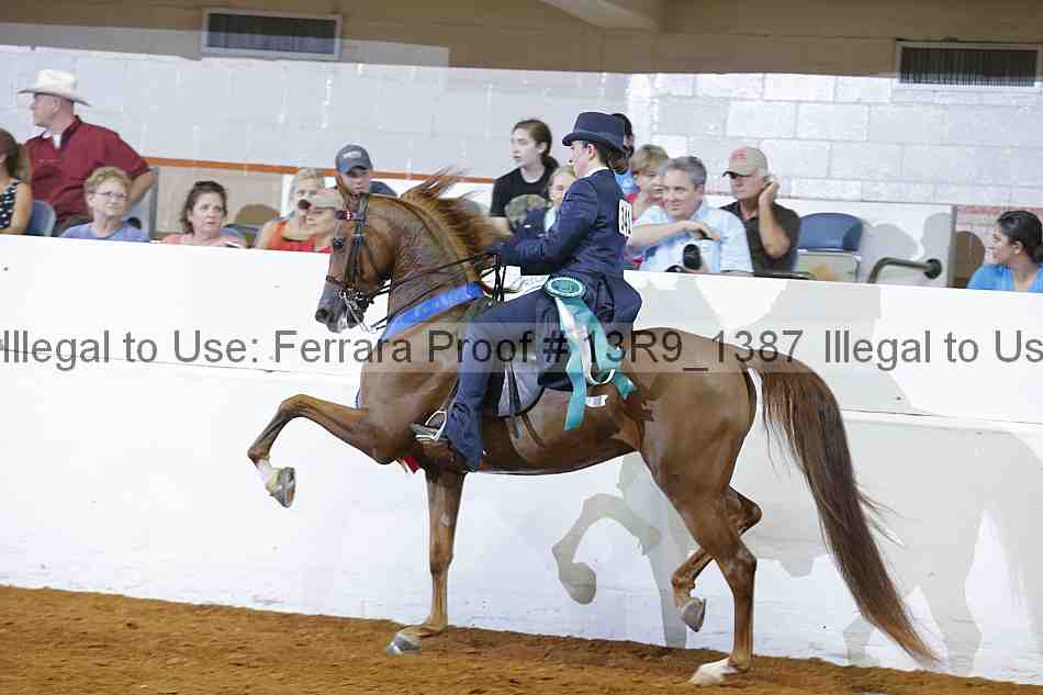 Proof 13r9_1387