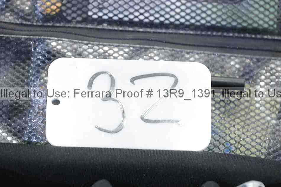 Proof 13r9_1391