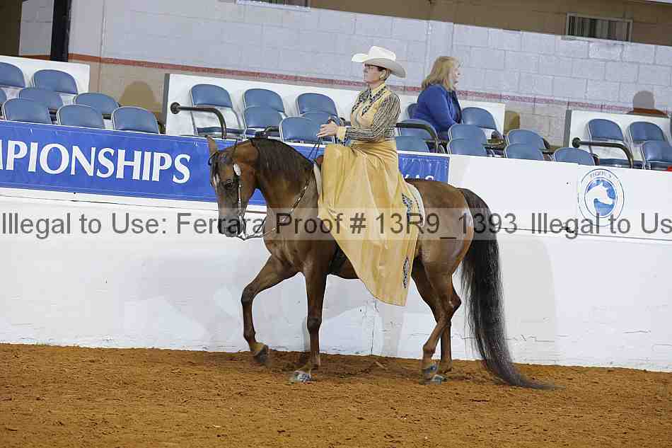 Proof 13r9_1393