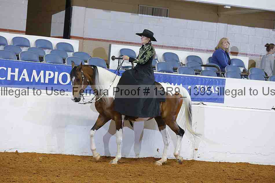 Proof 13r9_1395