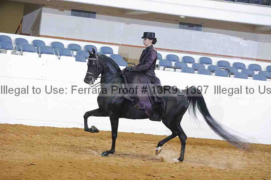 Proof 13r9_1397