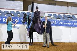 13r9_1401 proof