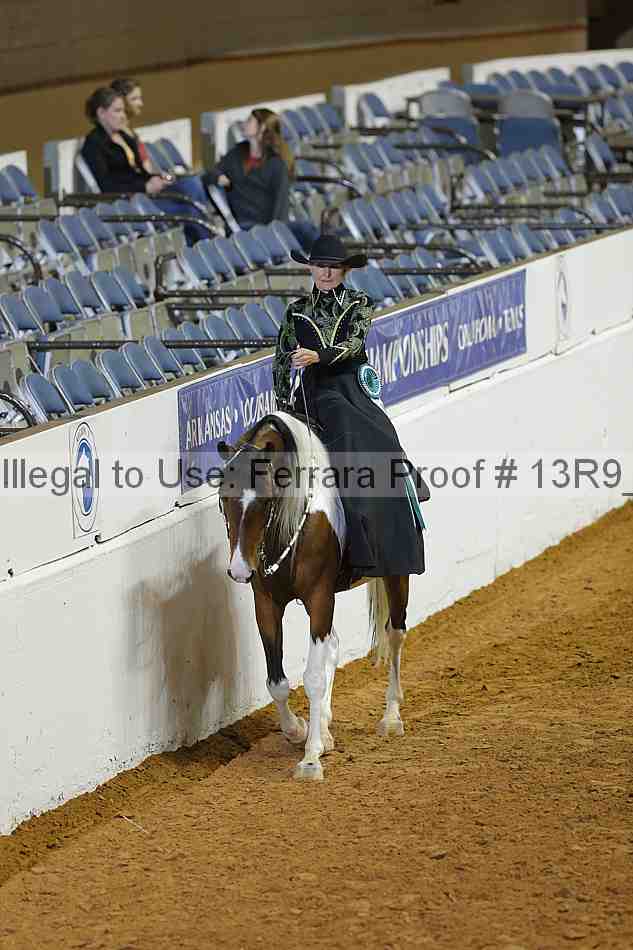 Proof 13r9_1406