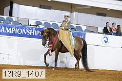 13r9_1407 proof