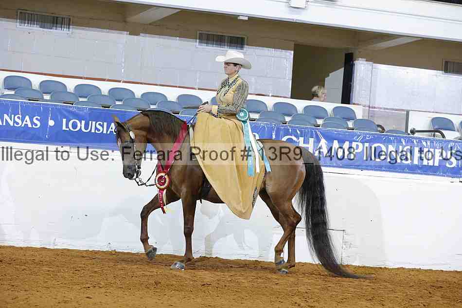 Proof 13r9_1408