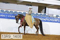13r9_1408 proof