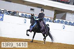 13r9_1410 proof