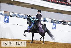 13r9_1411 proof