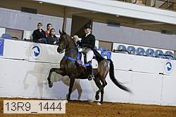 13r9_1444 proof