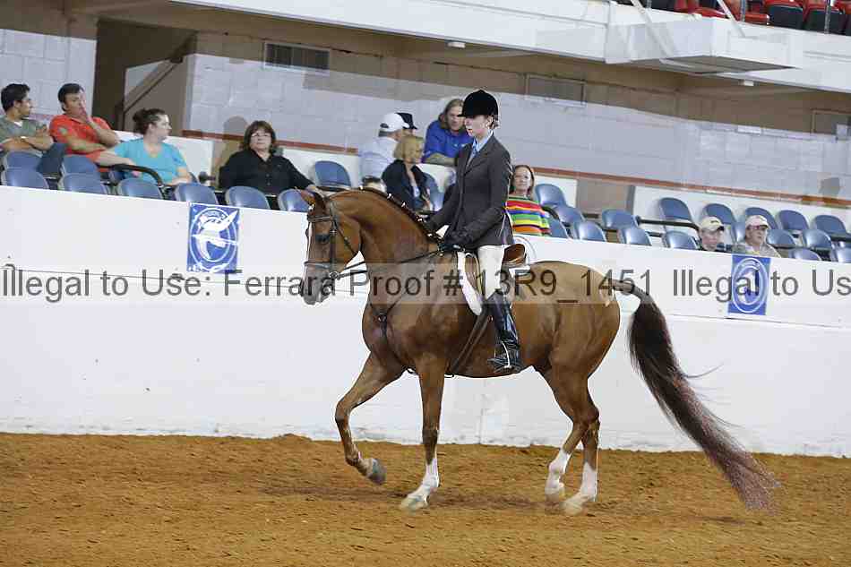 Proof 13r9_1451