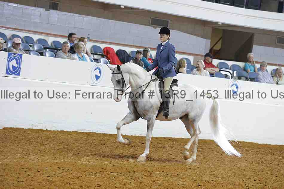 Proof 13r9_1453
