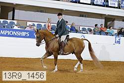13r9_1456 proof