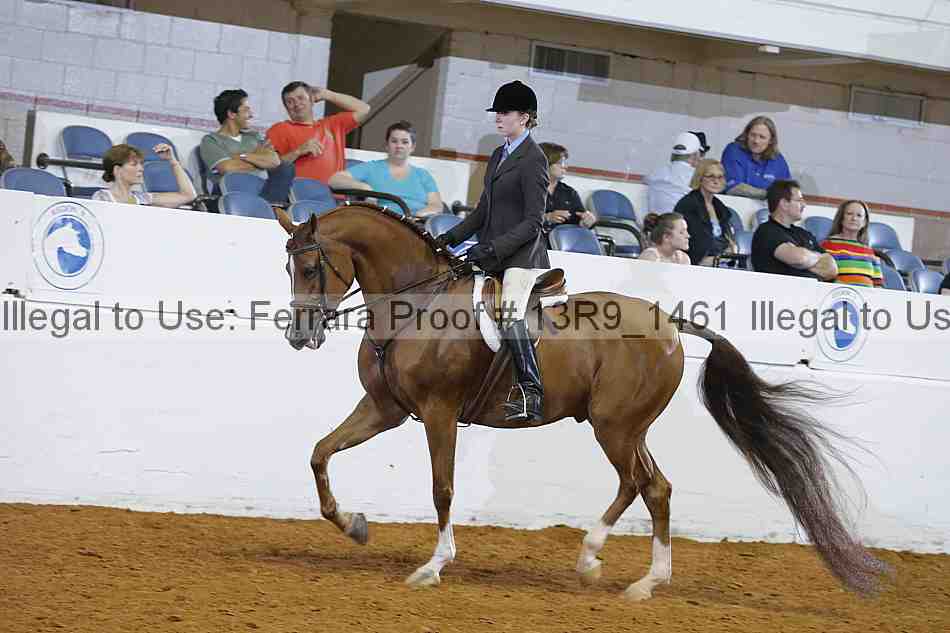 Proof 13r9_1461