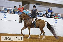 13r9_1461 proof