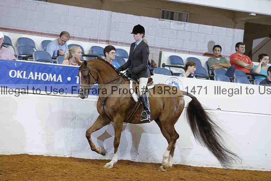Proof 13r9_1471