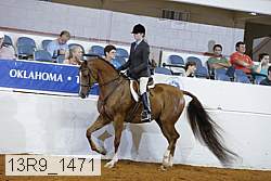13r9_1471 proof