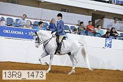 13r9_1473 proof
