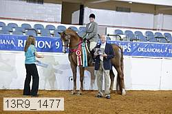 13r9_1477 proof