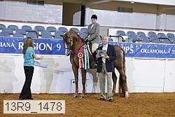 13r9_1478 proof