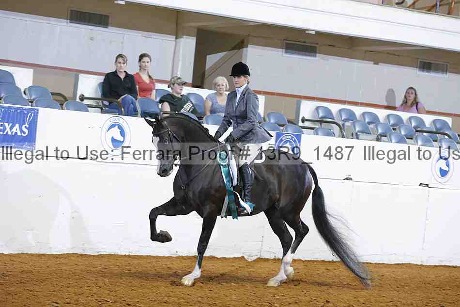 Proof 13r9_1487