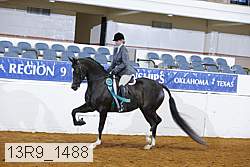 13r9_1488 proof