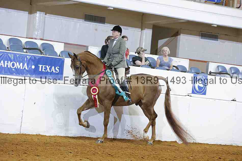 Proof 13r9_1493
