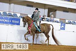 13r9_1493 proof
