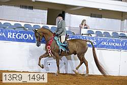 13r9_1494 proof