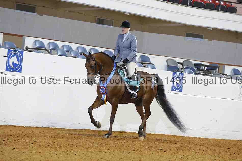 Proof 13r9_1495
