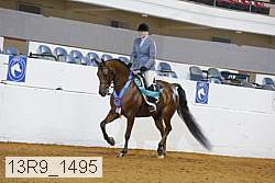 13r9_1495 proof