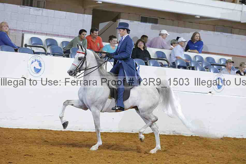 Proof 13r9_1503